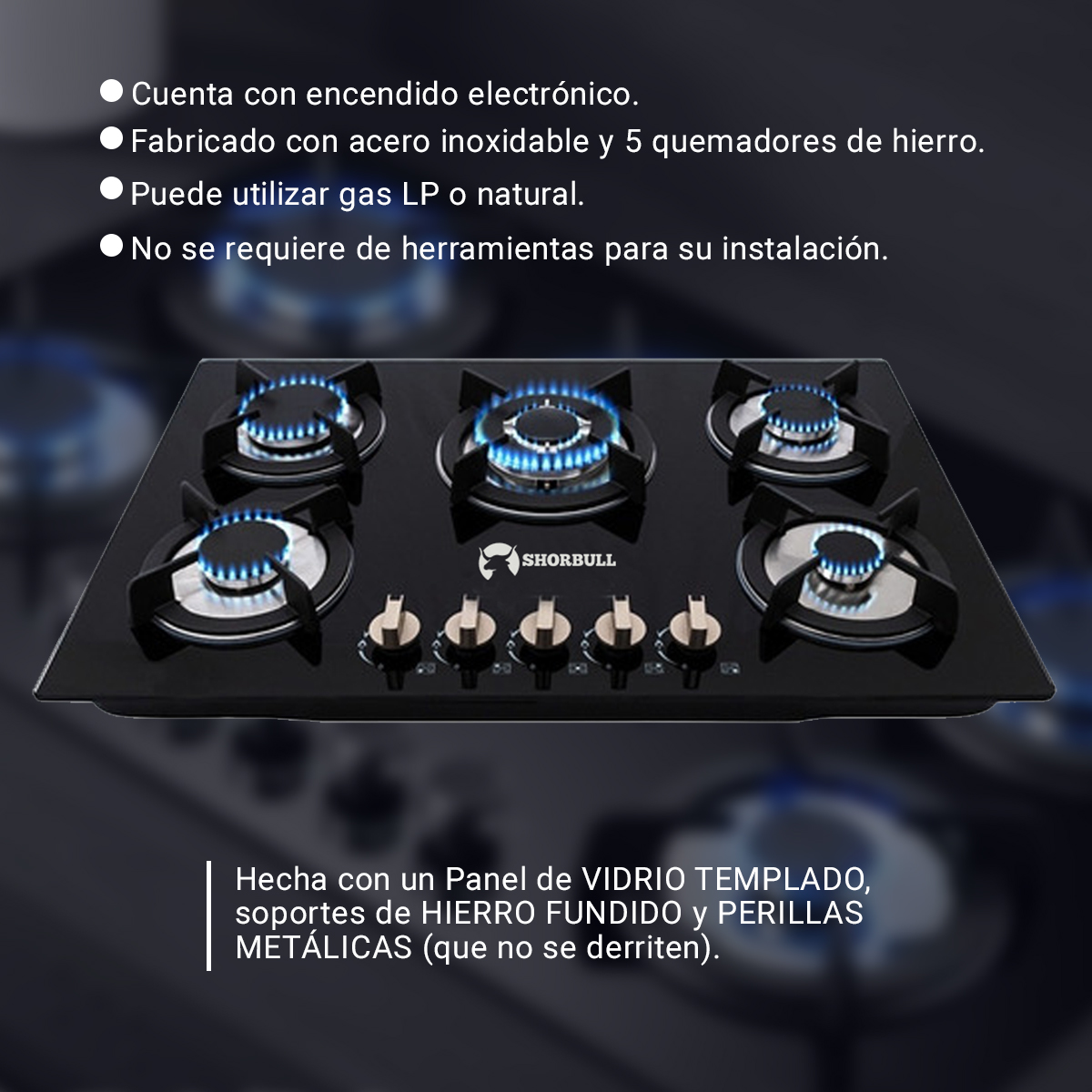 Parrilla 5 Quemadores Vidrio Shorbull