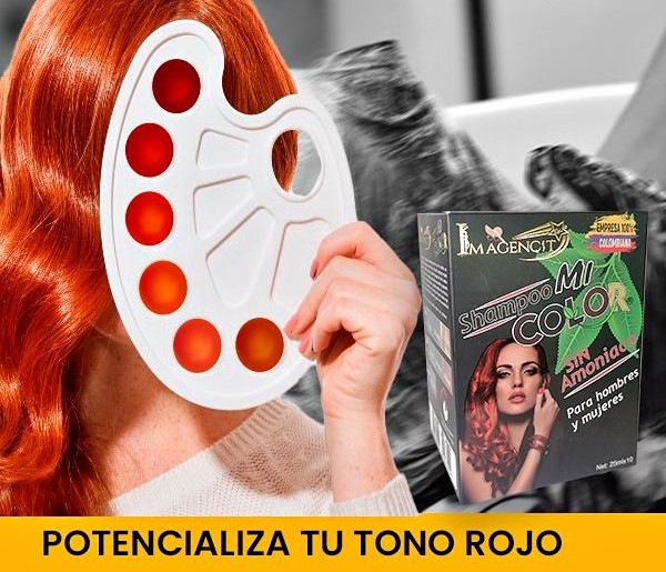 2 x 1 Shampoo Mi Color – Gama R