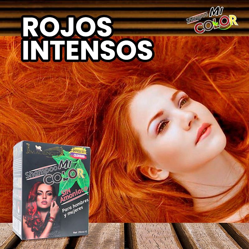 2 x 1 Shampoo Mi Color – Gama R