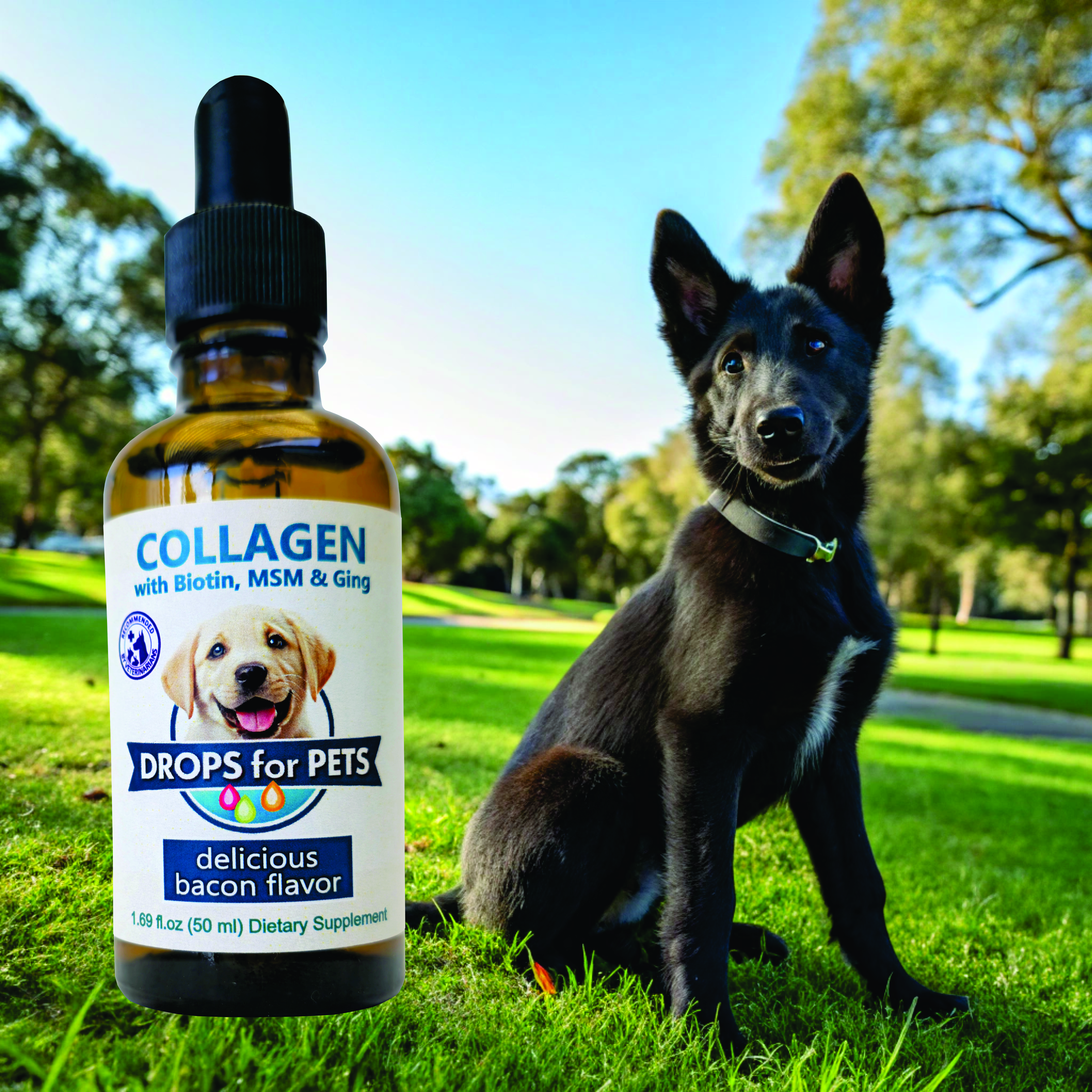 Suplemento Colágeno Perros