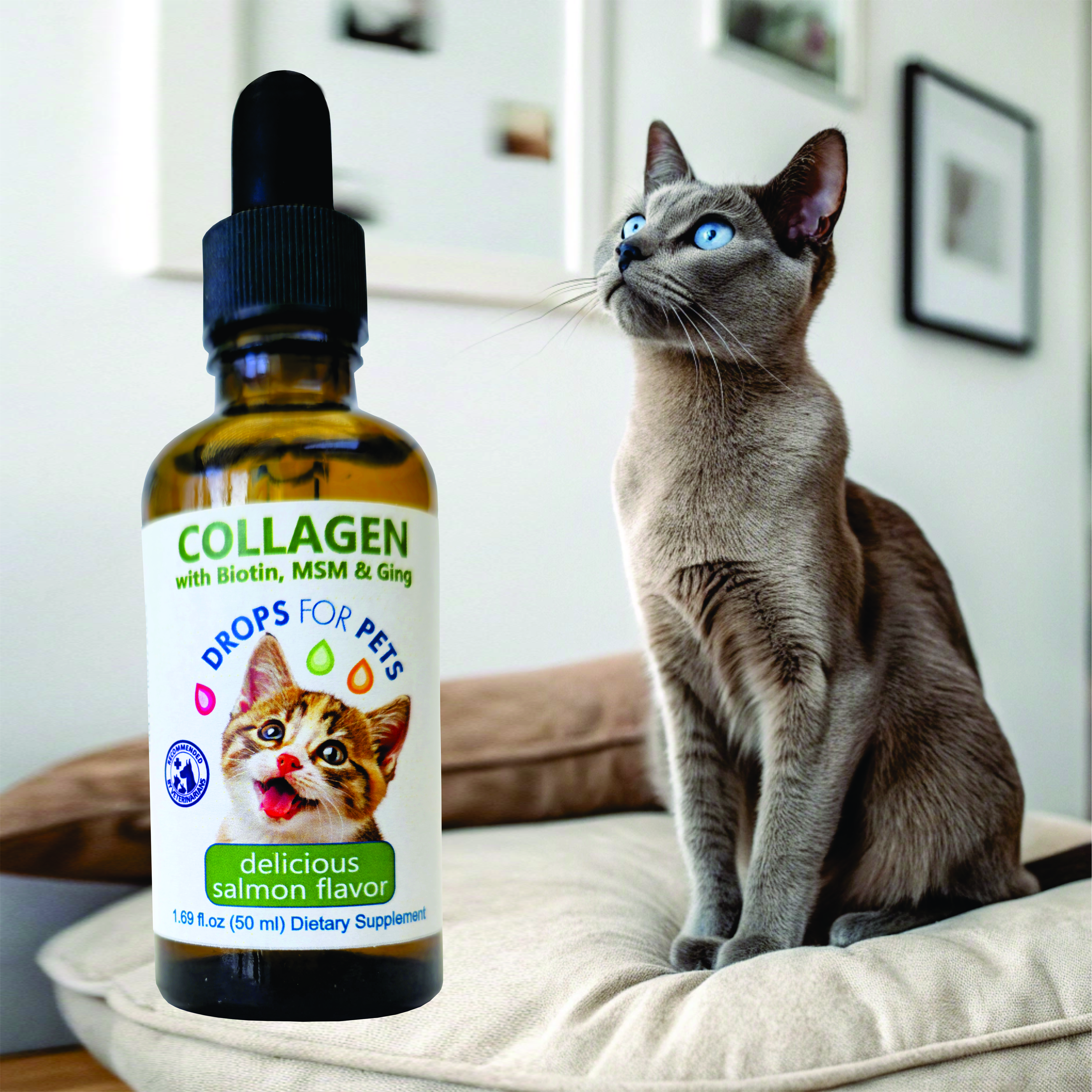 Suplemento Colágeno Gatos