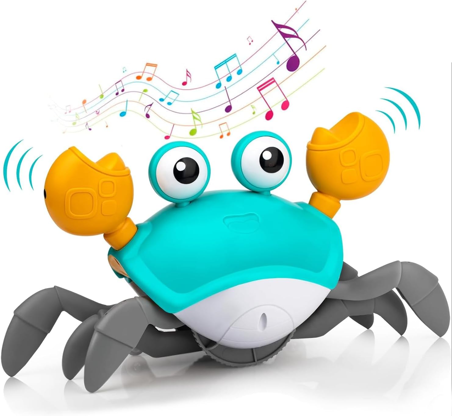 Cangrejo Interactivo Musical!