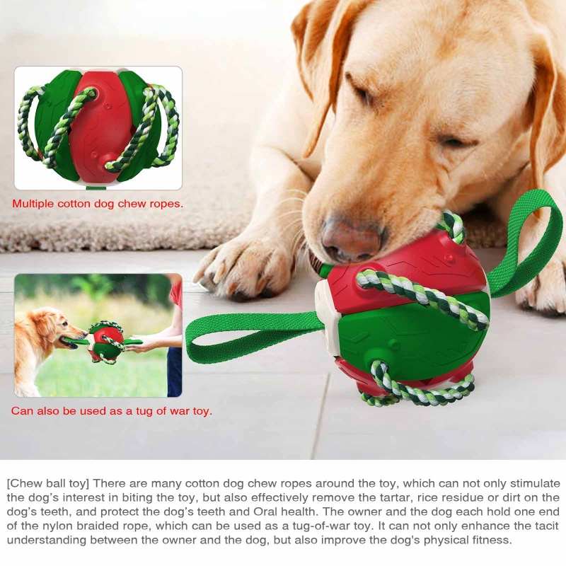 PELOTA FRESBEE PARA PERROS