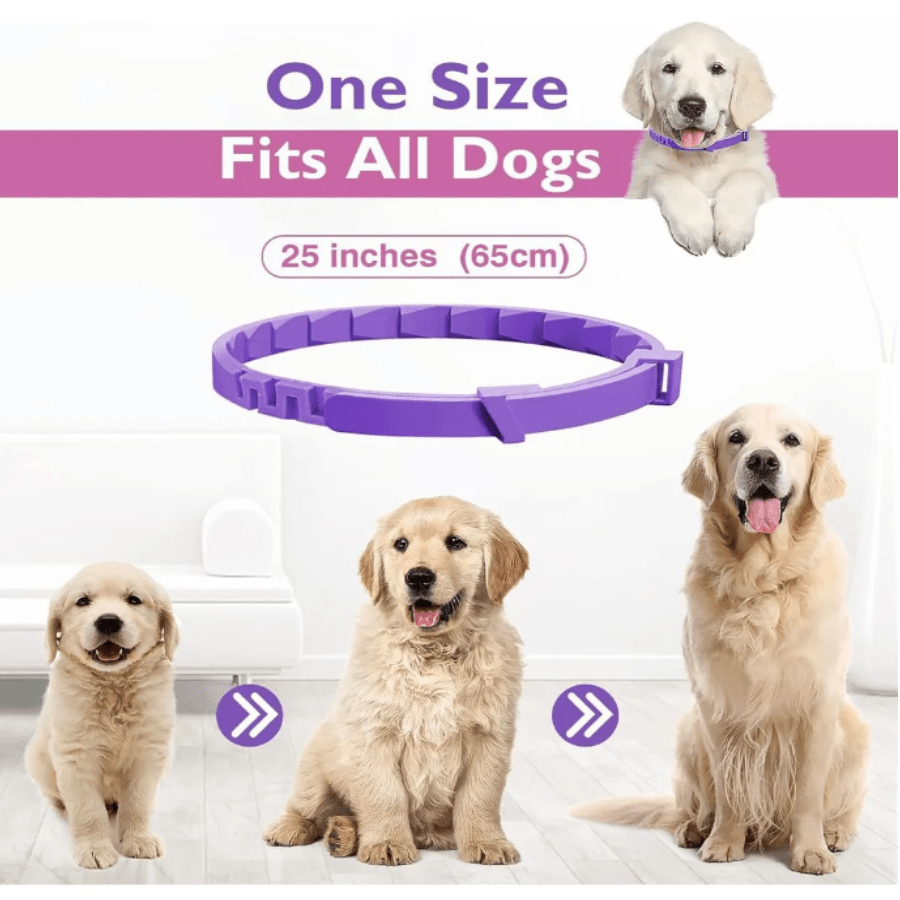 Kit 3 Piezas Collar Calmante Para Perro