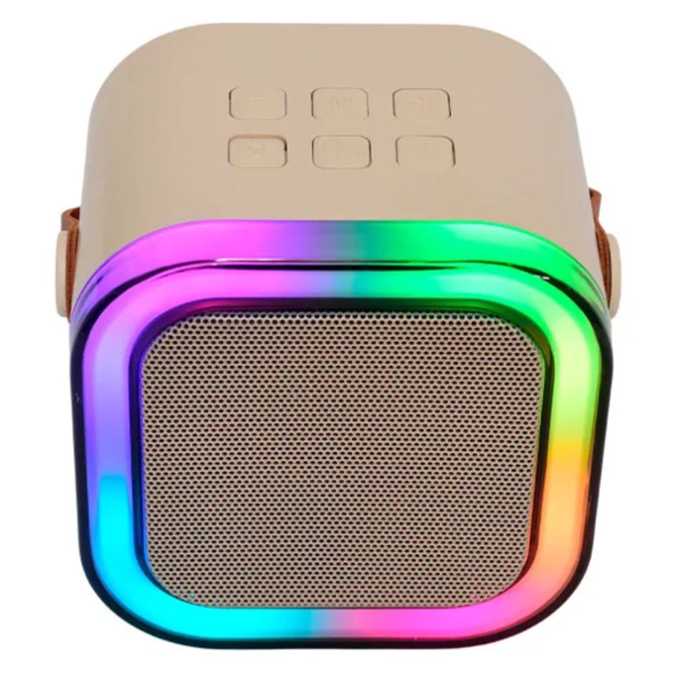 Bocina Karaoke 2 Microfonos Bluetooth