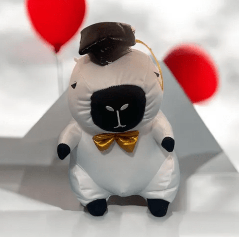 Peluche Graduación Capibara Niños