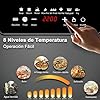Parrilla de Inducción Eléctrica