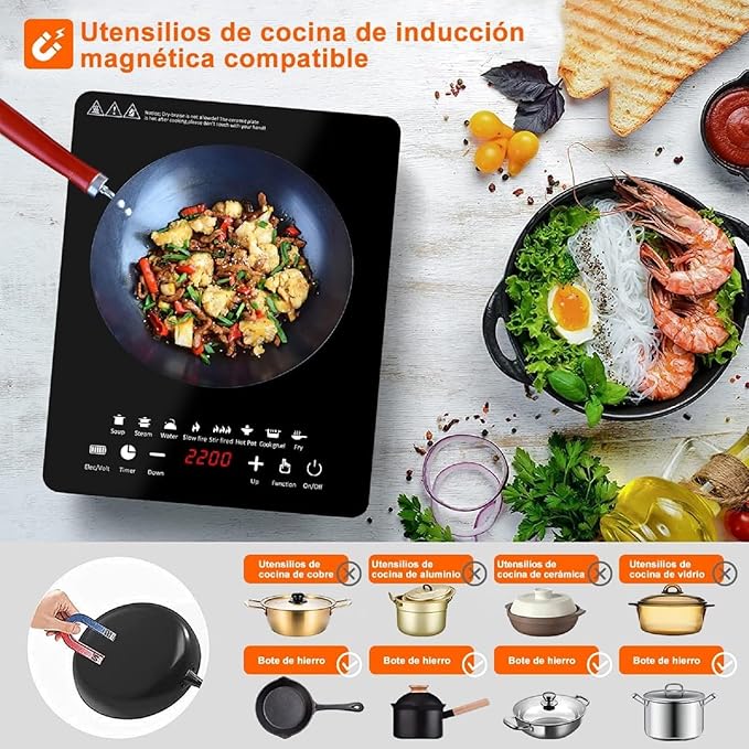 Parrilla de Inducción Eléctrica