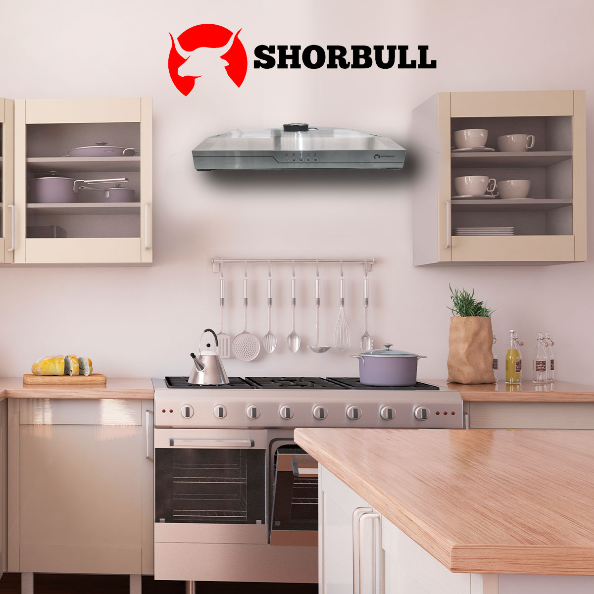 Campana 60cm Acero Inoxidable Shorbull