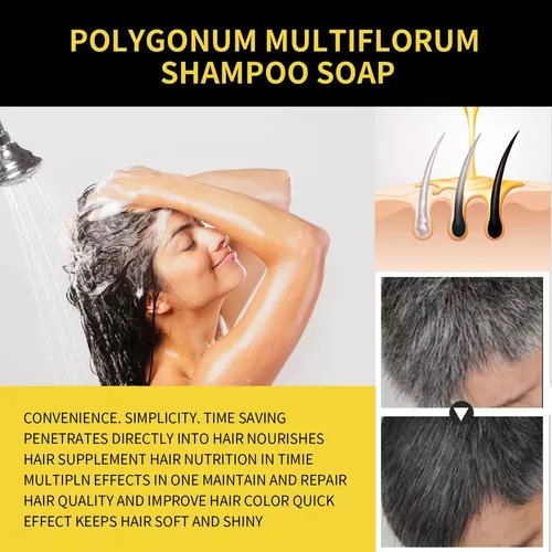 SHAMPOO TINTE NEGRO PARA CANAS