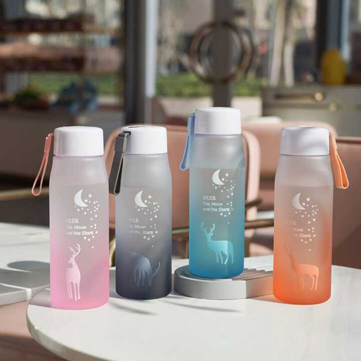 Botella de Agua Carbonatada 560 ml
