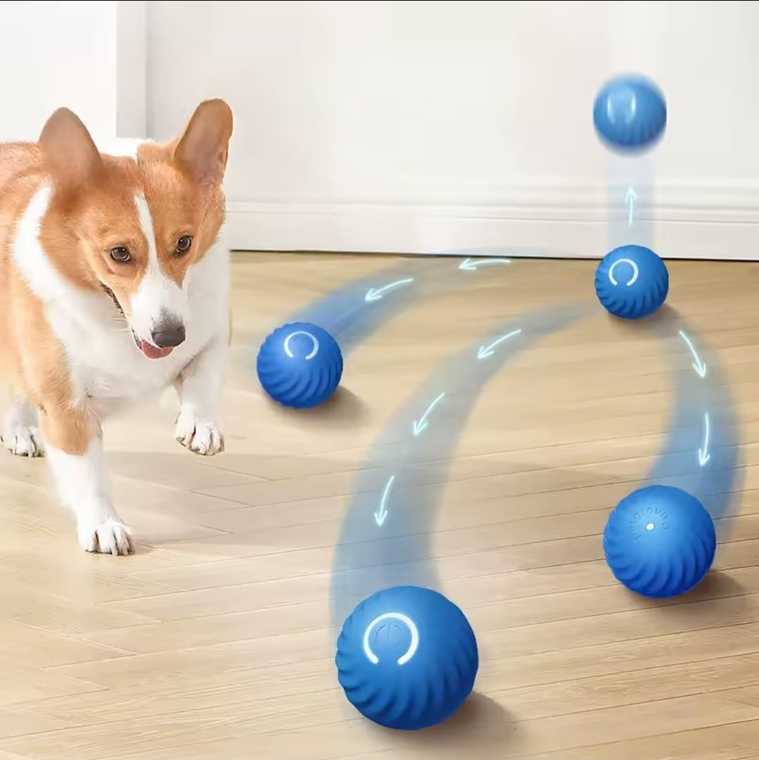 Pelota Interactiva para Mascota
