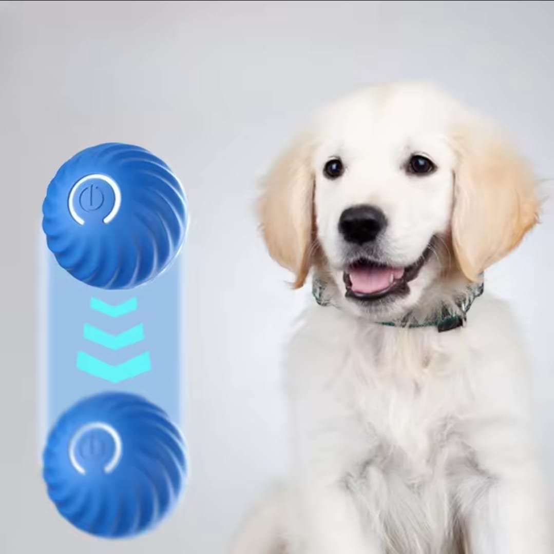 Pelota Interactiva para Mascota