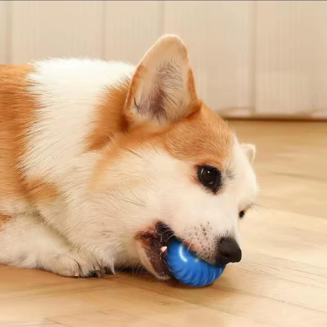 Pelota Interactiva para Mascota