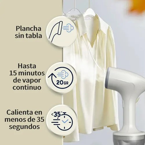 Plancha De Vapor Vertical Y Portátil Par
