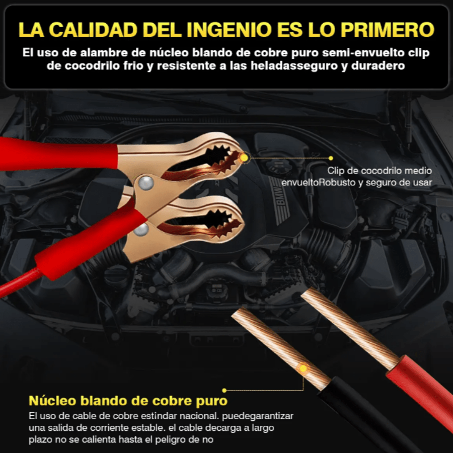 Cargador De Baterías Automotriz Intelige