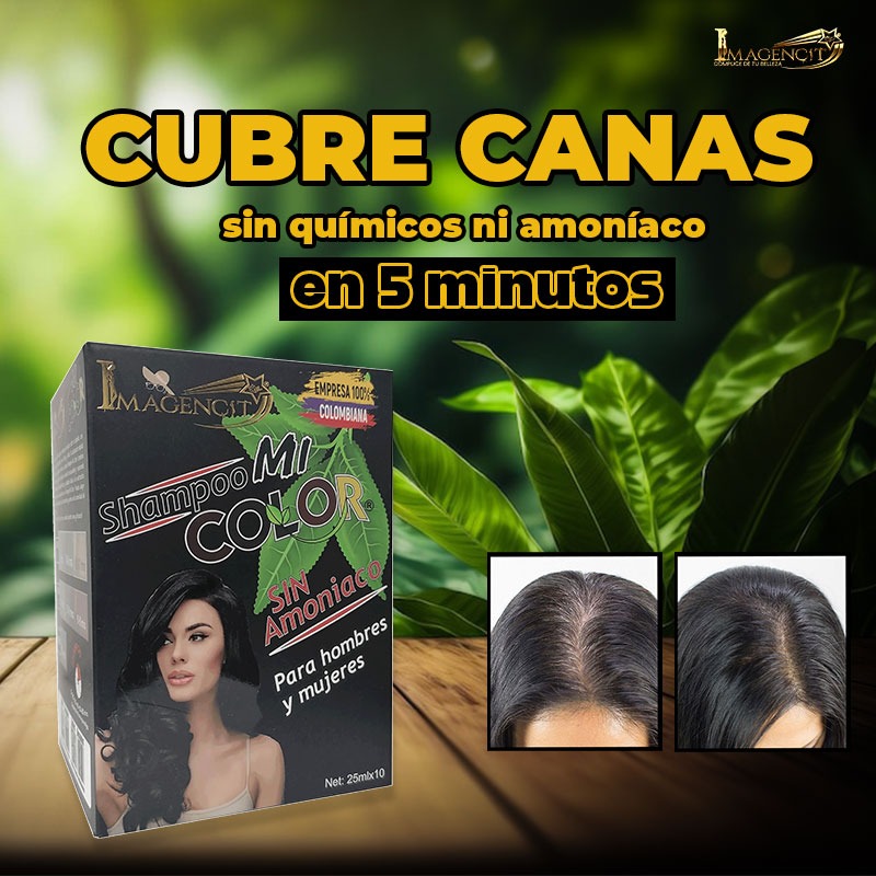 3 pack Shampoo Cubrecanas Mi color negro