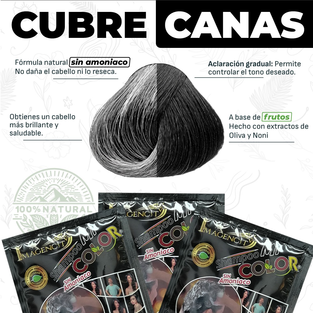 3 pack Shampoo Cubrecanas Mi color negro