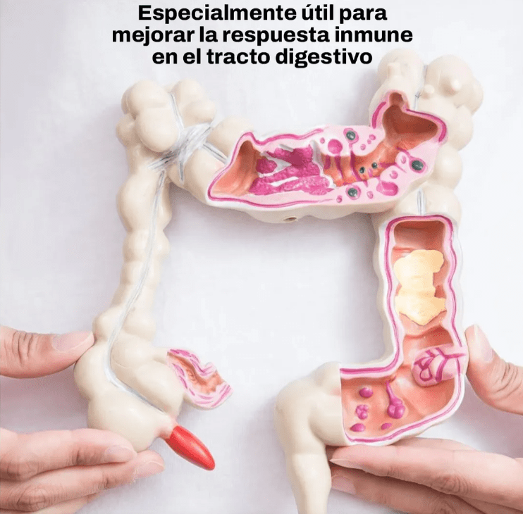 Suplemento Calastro Bovino Moo 108 gramo