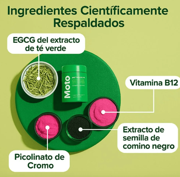 Suplemento Moto Metabolismo 60 Cap
