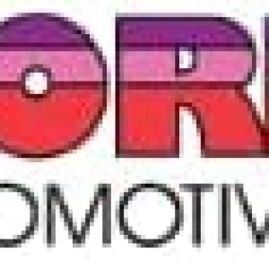 Gorilla Automotive 10010FG Gor L.P. Tiras de 12 onzas de 52-3 onzas, color plateado Gorilla Automotive 10010FG Gor L.P. Tiras de 12 onzas de 52-3 onzas, color plateado