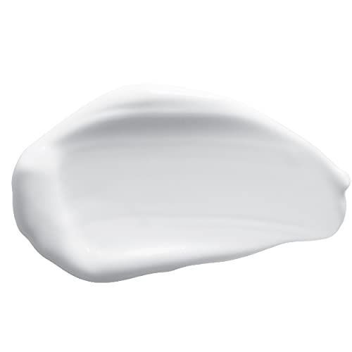 Crema hidratante antioxidante radiante de 1.7 oz Squalane Crema facial para mujeres envejecidas para piel seca, sensible, hidratante facial,