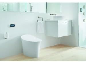 KOHLER K-99694-CP, 5.63 x 3.31 x 1.00 pulgadas, cromo pulido