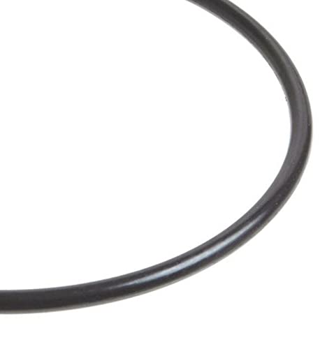 Beaver Island Parts Co. se adapta a Intex 10134 – Junta tórica de conexión de manguera de 1-14 pulgadas (paquete de dos) para bombas 330, 530, 1000