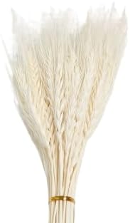 Trigo blanco artificial secado orgánico 150 tallos de 36 pulgadas x 70-76 tallos por paquete, juego de (2) dos paquetes