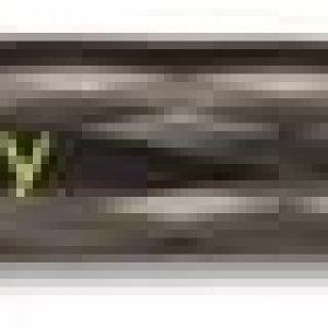 Varsity – Bolígrafo estilográfico desechable, tinta negra, tamaño mediano Varsity – Bolígrafo estilográfico desechable, tinta negra, tamaño mediano