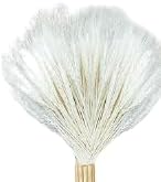 Trigo blanco artificial secado orgánico 150 tallos de 36 pulgadas x 70-76 tallos por paquete, juego de (2) dos paquetes