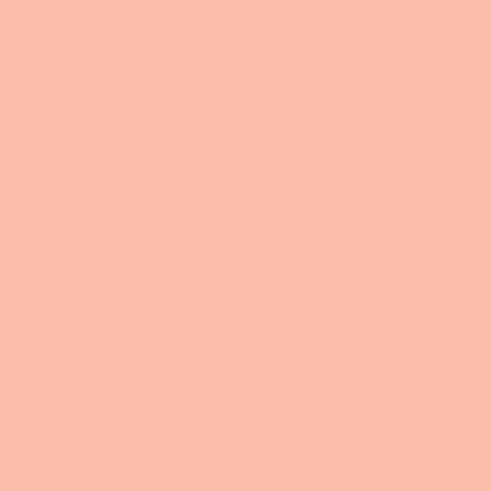 Fadeless Schoolgirl Style – Papel para tablón de anuncios, azúcar coral, 48 pulgadas x 50 pies, 1 rollo