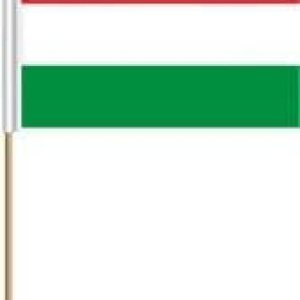 HungrÃa Llanura Grande 12 X 18 Pulgadas PaÃs Stick Bandera Bandera en un palo de madera de 2 pies… Nuevo HungrÃa Llanura Grande 12 X 18 Pulgadas PaÃs Stick Bandera Bandera en un palo de madera de 2 pies… Nuevo