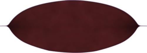 Plum Organics Alimento orgánico para bebés etapa 2 – pera, zanahoria morada y arándanos – Bolsa de 4 onzas – Bolsa orgánica de alimentos para bebés