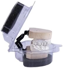 Portador de modelo dental y caja de dentadura con espumas Ortho Appliance Care Desechables Cajas transparentes de plástico (10)