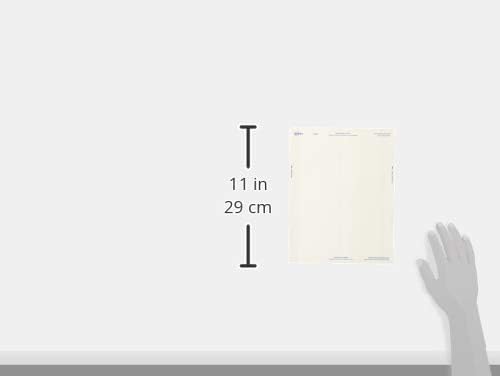 Avery Insertos personalizables para insignias de nombre, 2.25 x 3.5 pulgadas, blanco, 400 etiquetas de nombre imprimibles (5390) (paquete de 5)