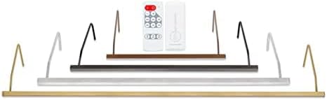 Iluminación situ Plug-in Vision Series Control Remoto LED Arte e Imagen Luz – Hecho en Estados Unidos – Ajuste de color 2700K – 4000K