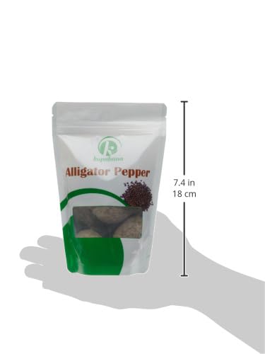 KOPABANA Pimienta de cocodrilo orgánico jumbo, pimienta de cocodrilo, especia Mbongo  Especias de pimienta  Ataare  Pimienta de Guinea  Pimienta de