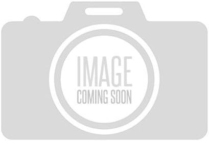 Replace – Cubierta de rueda plateada de 16″ con 6 radios en I