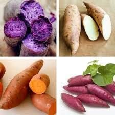 MITRAEE Semillas frescas de 100 verduras de batata para plantar blancas