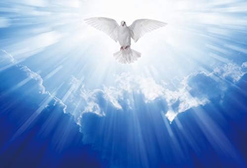 OERJU 10x8ft Jesucristo Luz Santa irradia fotografía Fondo Dios bendición Paloma blanca cielo azul cielo mensajero creencia paraíso religioso foto