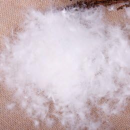 Dream Solutions USA Relleno de plumón de ganso a granel 8020 (34 libras) 100% blanco natural – Rellenos de edredones, almohadas, cojines, chaquetas