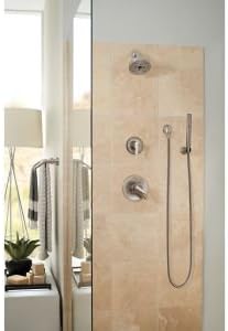 Delta Faucet T17261-SS Compel Serie 17 MultiChoice – Molde de ducha (acero inoxidable)