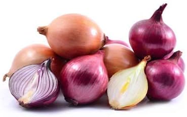 Cebolla Vegetal Rainbow Mix Neutral – 500 Semillas