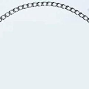 PDQ 12716 Boss Pet Choke Chain Collar, cadena de 0.079 in, collar de 16 pulgadas L, acero PDQ 12716 Boss Pet Choke Chain Collar, cadena de 0.079 in, collar de 16 pulgadas L, acero