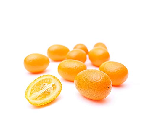 Kejora Kumquats frescos 2 LB
