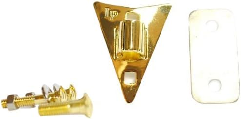 Latin Percussion LP930B Heartplate Conga Placa Lateral con Tapones – Oro