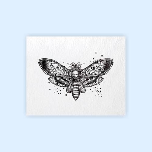 Dignovel Studios 8X10 sin marco cabeza de muerte halcón polilla insecto tótem ciencia animal acuarela arte impresión arte pared guardería niños