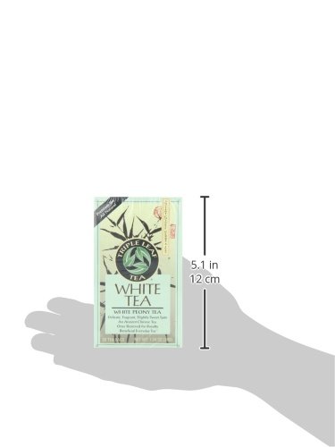 Triple Leaf Té, peonía blanca, 20 bolsas de té (paquete de 6)