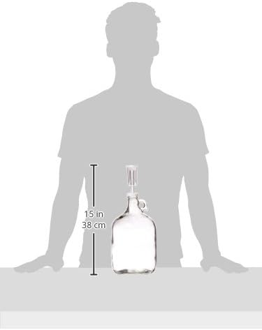 FastRack fermentador de vino de vidrio incluye Airlock, capacidad de 1 galón, transparente (B00BEYREIW), 1 unidad (paquete de 2)